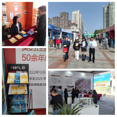 園區公積金助力岳陽惠民房交會，提供專業房地產咨詢服務